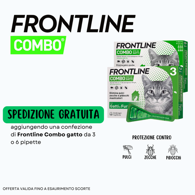 Frontline Combo Gatto