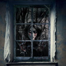 Halloween Window Decorations Spooky Blood Ghost Decor, 32" X 47"