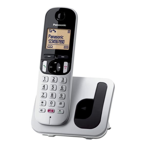 CORDLESS KX-TGC250JTS SILVER - Immagine 2