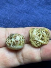 2 pieces Beautiful Natural Gobi agate veins agate collection Landscape stone