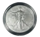 2023 W  American Silver Eagle - Burnished Finish - 1 oz of .999 Silver! OGP/COA