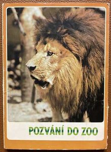 Lot of 17 psc JUMBO CARDS FOLDER WITH CZECH PRAGUE ZOO ANIMALS PRESS FOTO