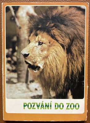 Lot of 17 psc  JUMBO CARDS FOLDER WITH CZECH PRAGUE ZOO ANIMALS PRESS FOTO  
