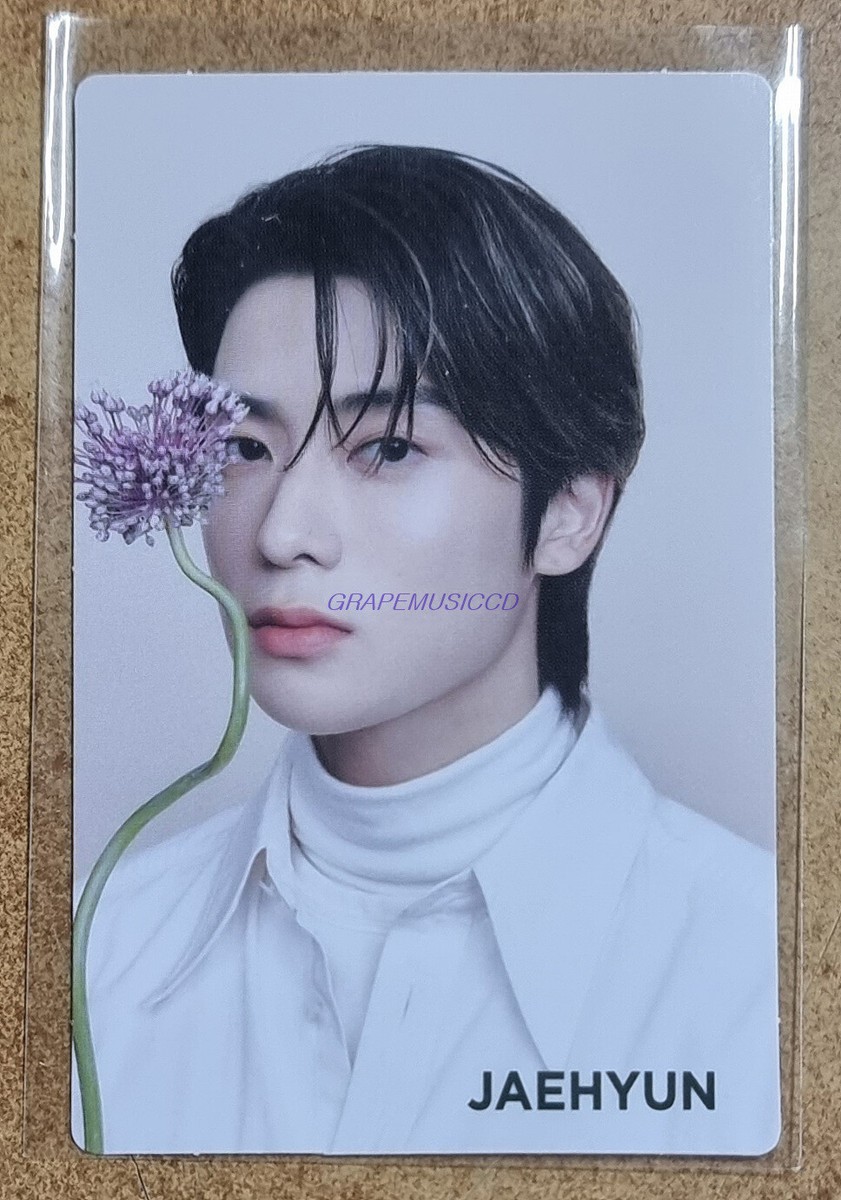 NCT 127 NCT127 Nature Republic OFFICIAL GOODS CICA PHOTOCARD PHOTO