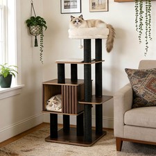 53.5" Tall Cat Tree for Indoor Cat Wooden Cat Tower Top Perch w/ Soft Padding