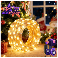 Lichterkette 10M 100LED Kupferdraht USB Mit Schalter 2 StüCk Deko Beleuchtung