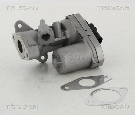 Triscan Agr-Ventil 8813 10002 FüR CitroËN Fiat Ford Land Rover Peugeot-image