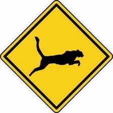 Aufkleber Vorsicht Jaguar Autoaufkleber Sticker Konturschnitt