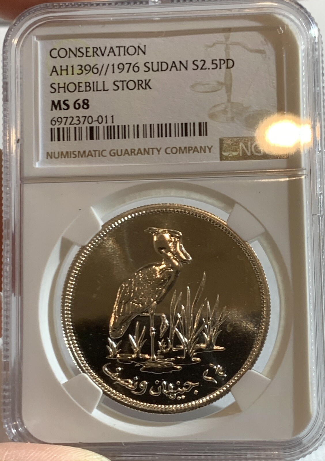 Picture 4 of 5
