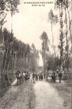 45 Saint Germain des Prés allée de Gy animée 1910