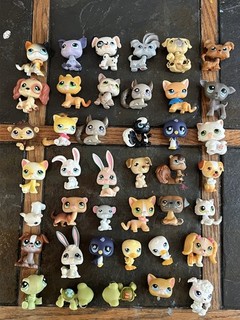 Littlest Pet Shop lot LPS Authentic Main 5’s rare short hair cat