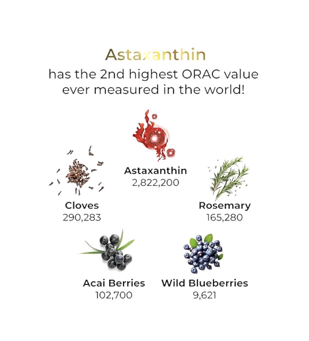 Luxe Beauty Organic Astaxanthin Serum - Concentrated Antioxidants - NEW