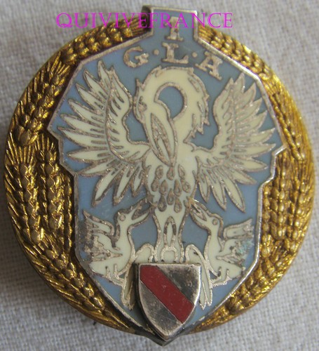 INSIGNE MILITAIRE COLO 1er RIMa Opération Salamandre Ex-Yougoslavie Fab. BALME EUR 8,00