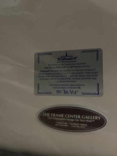 CARLOS FRANCO Professionally Framed Autographed Art Limited Edition PGA GOLFER - Picture 2 of 3