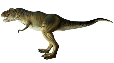 Tiranossauro Rex, Jurassic Park Wiki