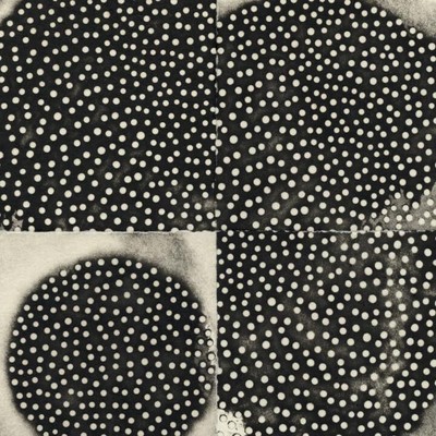 K. Leimer Proximate Forms (CD) Album