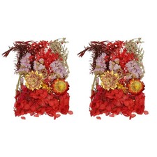 2 Sets Nat&uuml;rliche getrocknete Blumen f&uuml;r DIY, gepresste Blumen (Rot)