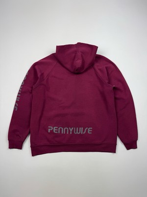 90's Vintage Distressed Pennywise Punk Band Hoodie | eBay