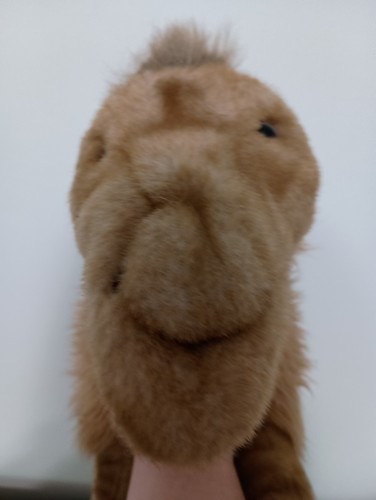 Folktails Folkmanis Camel Hand Body Puppet 21" Plush Realistic Stuffed Animal - Picture 4 of 15