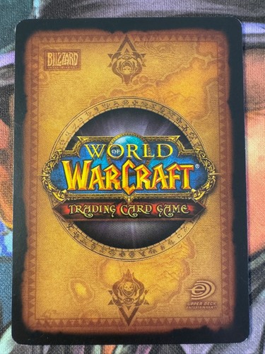 World of Warcraft TCG Betrayer 185/264 Anchorite Karja - Imagen 2 de 2