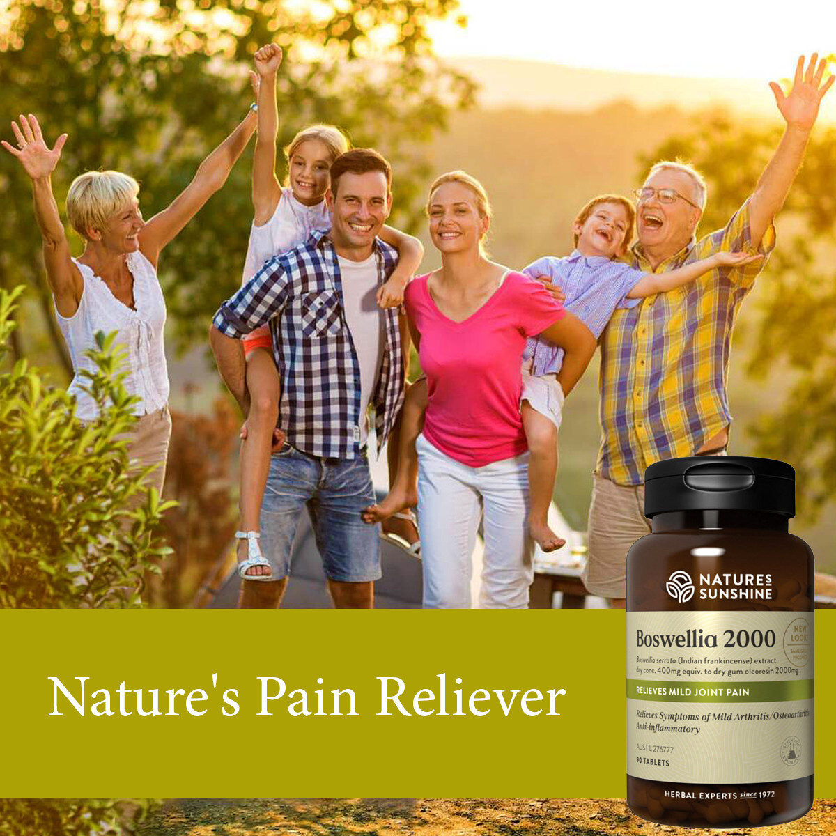 Nature's Sunshine Boswellia 2000 90 Tablets Natures Joint Pain Relief