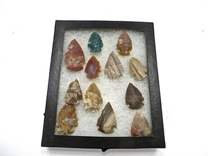 Collection of 12 Archaic Arrowheads found in Wisconsin From Farmhouse Estate