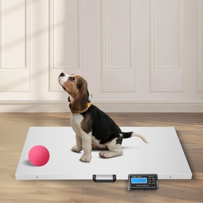 1100 Lbs Heavy Duty Digital Livestock Vet Scale Hog Pet Dog Sheep Goat Scale US