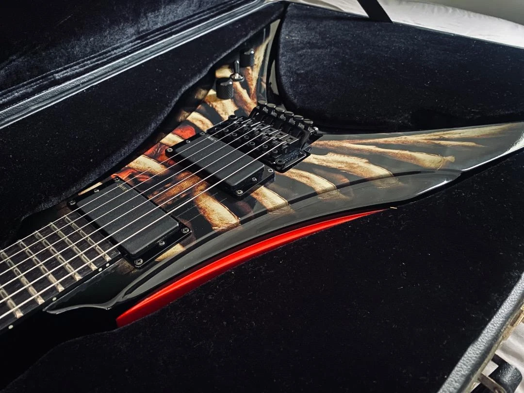 ギター DBZ Venom GX Thoracic [FLYING V] DBZ Venom GX Thoracic Flying V Electric Guitar EMG 81/85 with Hard