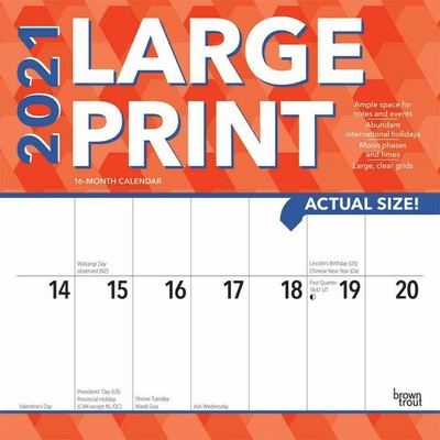 LARGE PRINT 2021 Wall Calendar | eBay
