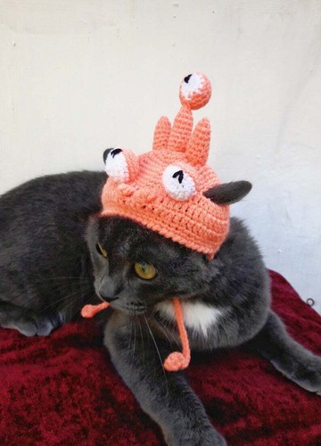 Pet Clothes Outfit Crochet Hat Cat 