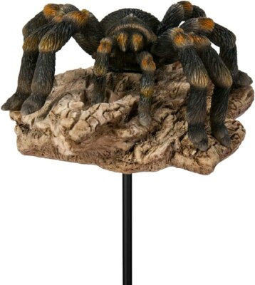 Vivid Arts Pflanzenfreunde Tarantel auf Baumstamm, PLP-144, H: 4 cm, NEUES GESCHENK