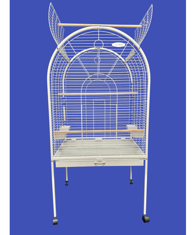 Cage With Grey Parrot Parrot Cages For Sale Near Me Parrot