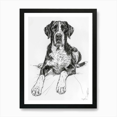 Gerahmtes Wandbild Poster Leinwanddruck Bild Grosser Schweizer Sennenhund Linie Ske