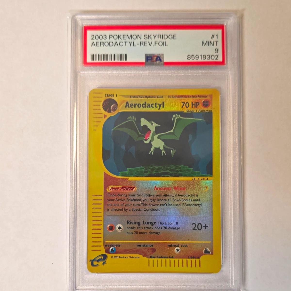 Aerodactyl
