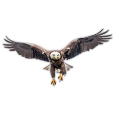 Bald Eagle Sticker Decal