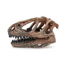 Resin Dinosaur Head Skull Figure
