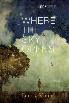 Where the Sky Opens : A Partial Cosmography Paperback Laurie Klei
