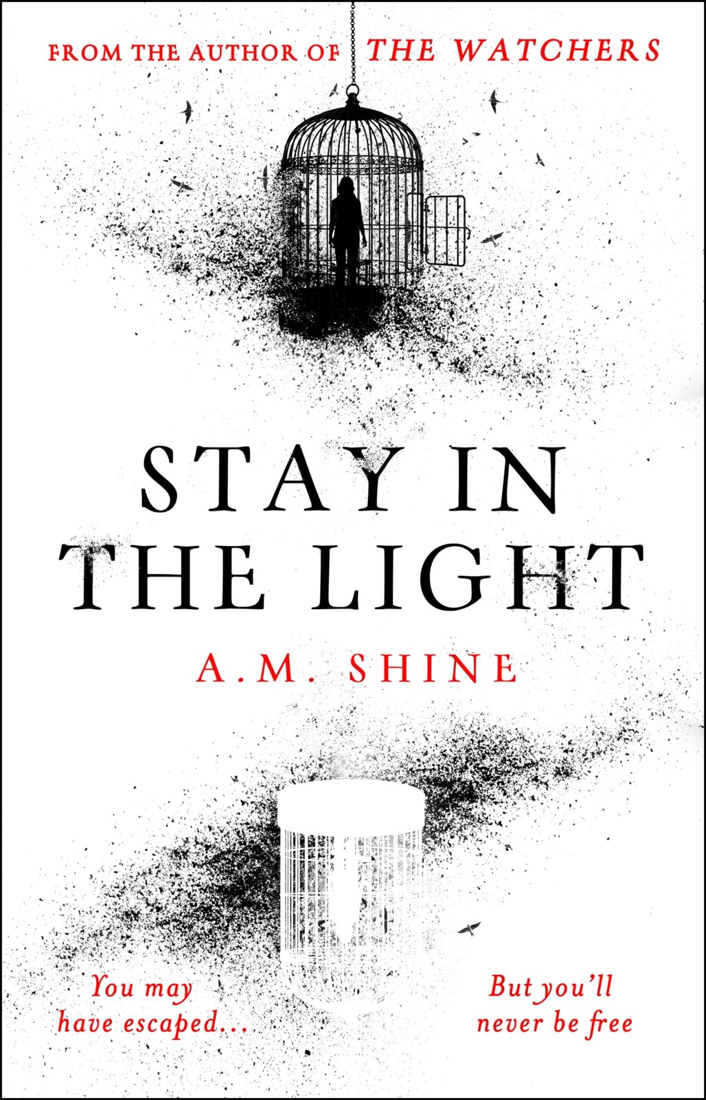 Stay in the Light by A.M. Shine - - Image 6