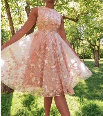 JessaKae Dress XL Embroidered Lucille Spring Formal Twirly Tulle Extra Large 