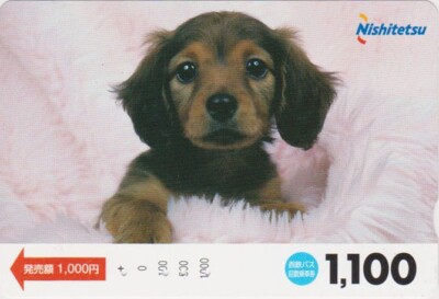 JAPAN - ANIMAL - DOG PUPPY - DACHSHUND - DOG JAPAN bus ticket card