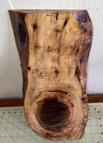 Hawaiian Kolohala/Pheasant Wood Board~17 1/2" x 6 3/4" x 1" Bug Damage (#128) - Picture 4 of 8