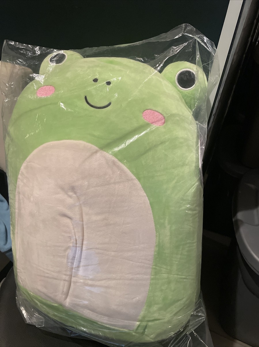 Squishmallows Wendy the Frog 16” Rate Winter Edition BNWT | eBay