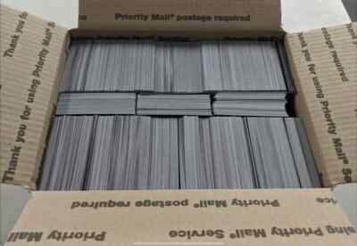 Magic the Gathering Common Mixed BULK Karten Lot x500