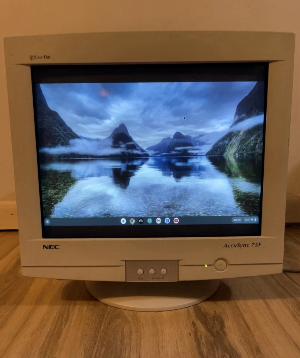 NEC Less than 16 Inch Computer Monitors for sale | eBay