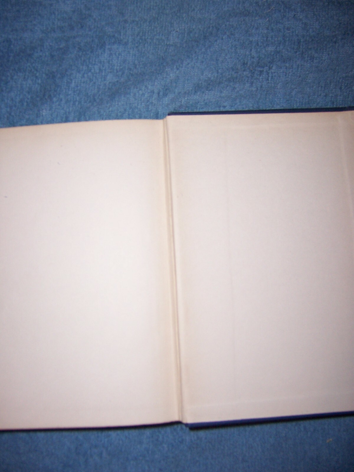 Picture 8 of 8