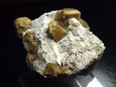 Vesuvianit Stufe 51 mm - Sierra de Cruces, Mexiko (2224t)