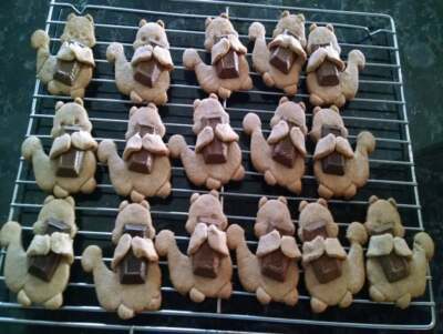 Eichhörnchen Plätzchen Gebäck Keksausstecher Glasur Fondant Backmasse niedliche Tier Nüsse