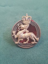 ROYAL BERKSHIRE REGIMENT OFFICERS BRONZE CAP BADGE ON LUGS QUEENS CROWN ORIGINAL