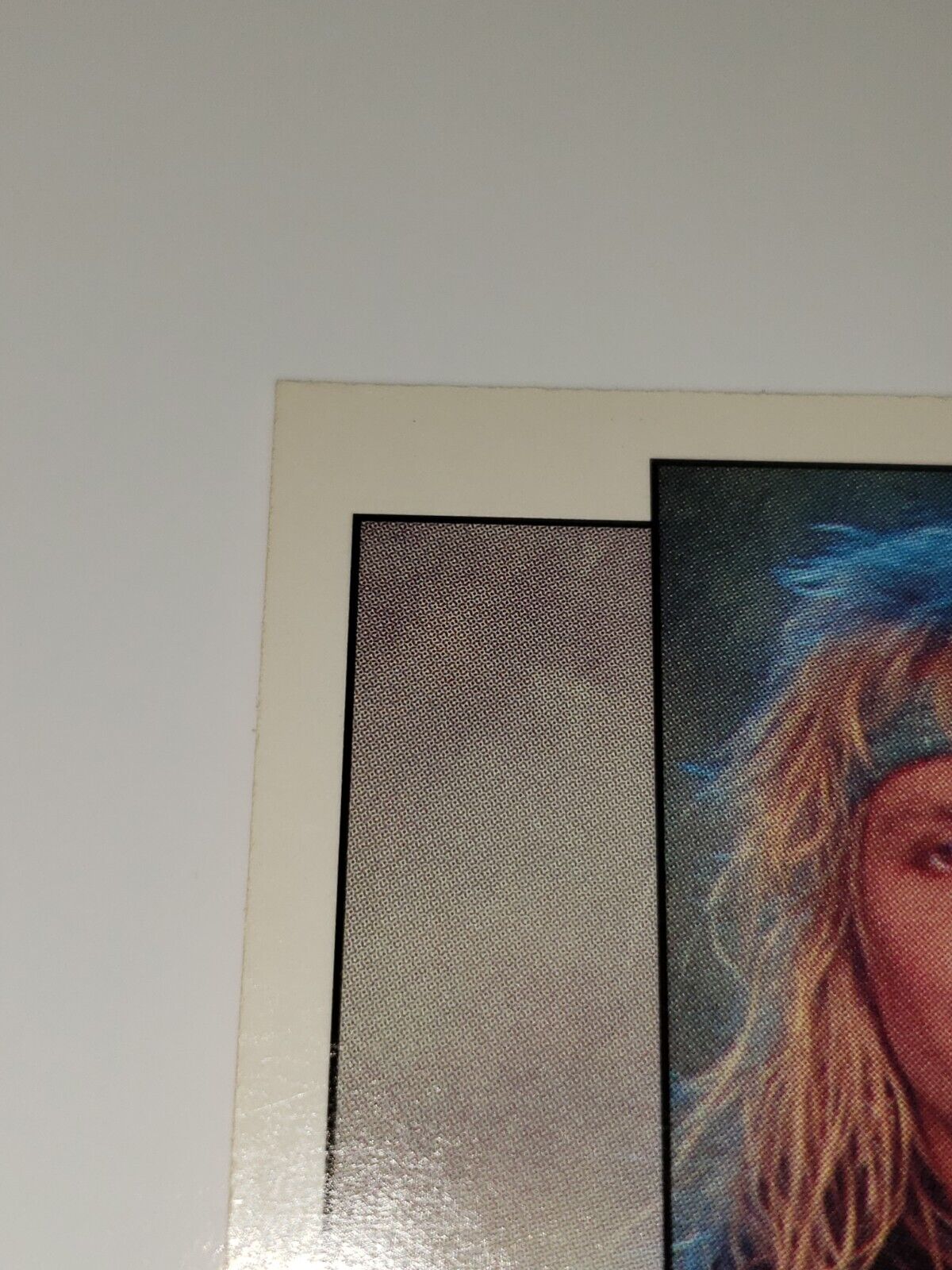 Picture 8 of 11