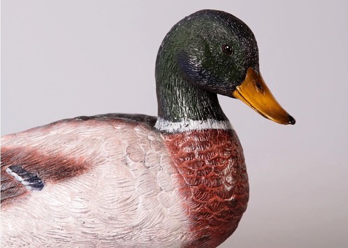 Mallard Duck Statue Farmyard Garden Figure Realistic Detailed Lifesize Models - Picture 5 of 7